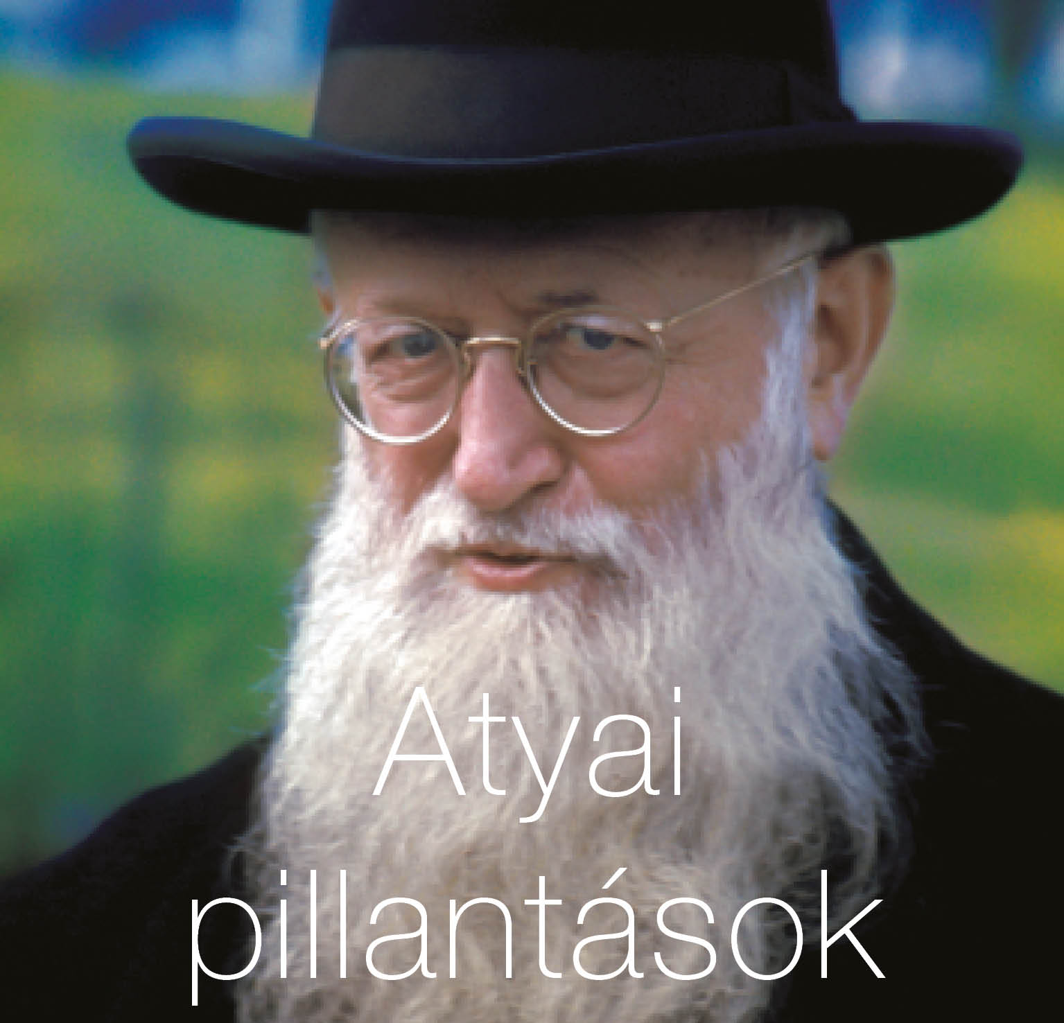 Vaterblicke (Atyai pillantások)